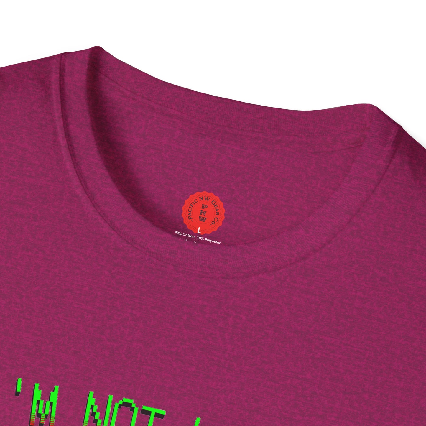 Lazy Bear Camp Tee | Funny Bear Shirt | I'm Not Lazy, I'm On Power Saving Mode! | Relaxed Fit Tee | Pacific NW Gear Co.