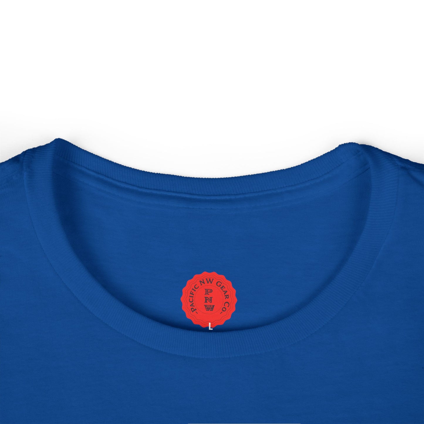 Relaxing Rex Beach Tee | Funny T-Rex Shirt | Women's Summer T-Shirt | Vacation Gift | Pacific NW Gear Co