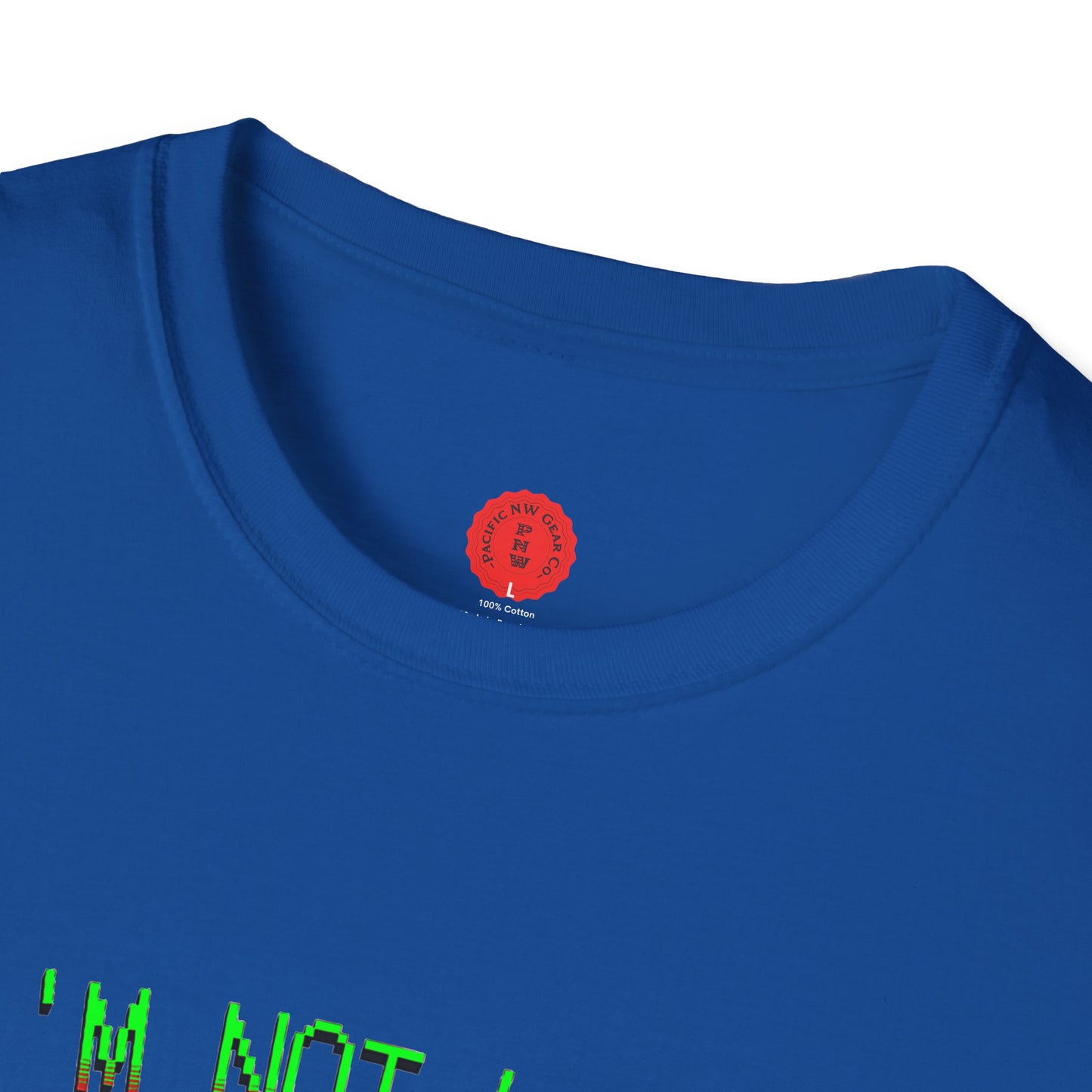 Lazy Bear Camp Tee | Funny Bear Shirt | I'm Not Lazy, I'm On Power Saving Mode! | Relaxed Fit Tee | Pacific NW Gear Co.