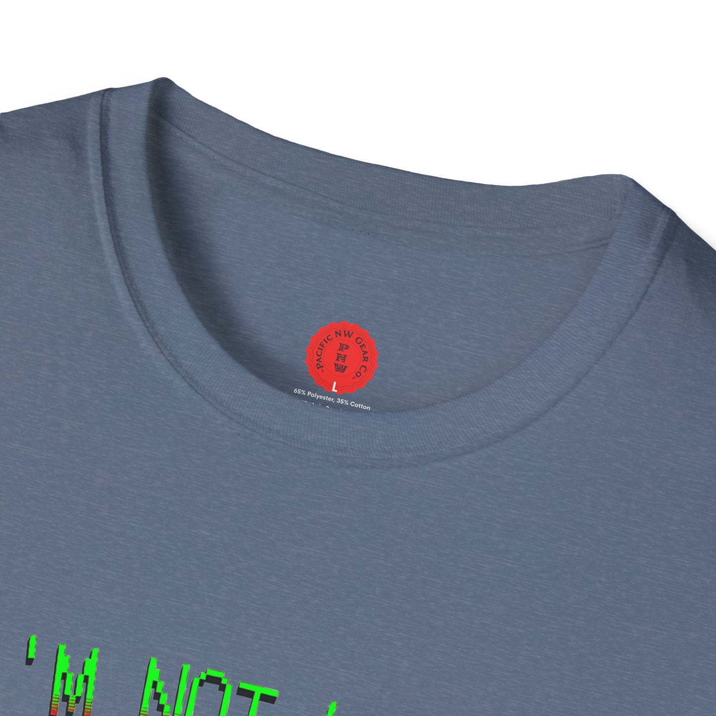 Lazy Bear Camp Tee | Funny Bear Shirt | I'm Not Lazy, I'm On Power Saving Mode! | Relaxed Fit Tee | Pacific NW Gear Co.
