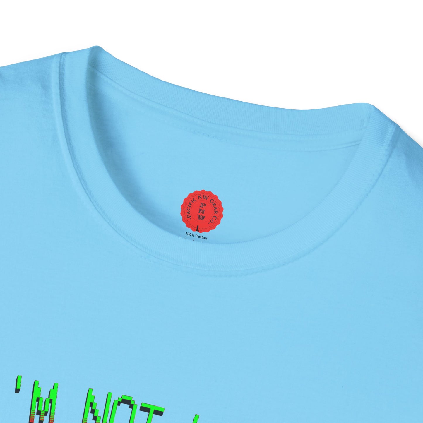 Lazy Bear Camp Tee | Funny Bear Shirt | I'm Not Lazy, I'm On Power Saving Mode! | Relaxed Fit Tee | Pacific NW Gear Co.